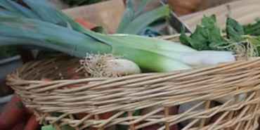Marché pannier légume