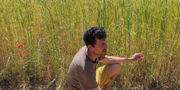 Théodore champ blé