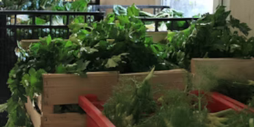 Marché cagettes légumes