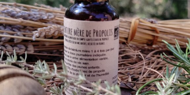 Teinture mère propolis
