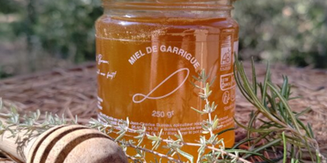 Miel Garrigue