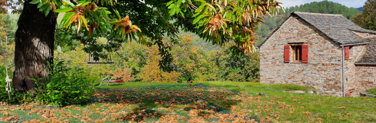 image 4 produits marrons barbejols