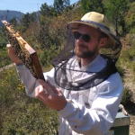 Jean-Charles en habit récolte miel