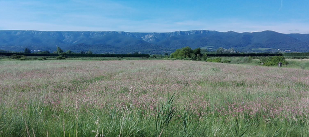 ferme d'Eygaline Paysage