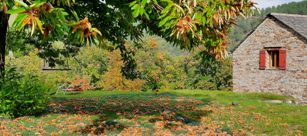 image 4 produits marrons barbejols